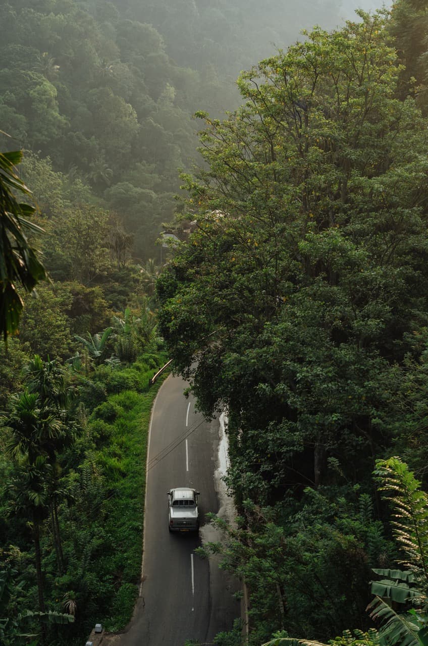 Превью Sri Lanka 2022